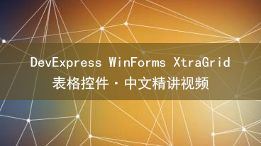 DevExpress WinForms XtraGrid 表格控件教学视频